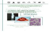 Medicina Veterinaria Curso de Oncologia Veterinaria