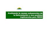 E. Otarola - Analisis de La Deforestacion
