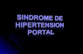 Seminario de HiPerTension Portal