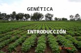GENETICA INTRODUCCION