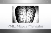 PNL: Mapas Mentales