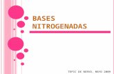 Bases Nitrogenadas