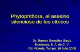 Phytophthora, el asesino silencioso de los cítricos - Ramiro González Garza