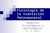 Fisiología de la transición fetoneonatal