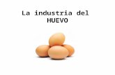 La Industria del Huevo