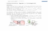 Colecistitis Aguda y Colangitis