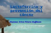 Lactoferrina y prevención del cáncer