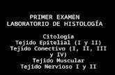 Histologia Lab Oratorio - Repaso Completo Para El Primer Examen (Unidad I y Unidad II)