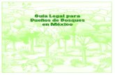 Guía legal para dueños de bosques