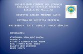 Medicina Tropical Definitivo Sepsis