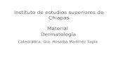 Presentacion de La Materia de Dermatologia Ciclo 2009 2010