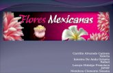 Presentación Flores Mexicanas