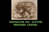 Irrigacion Del Sistema Nervioso Central