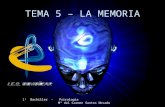 Psicología - TEMA 5 - La Memoria