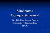 sd compartimental