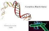 Clase 9 Genética bacteriana