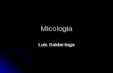 Atlas micología