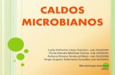 caldos microbianos