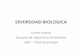 Sobre la Diversidad Biologica en el Peru