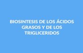 Biosintesis de Los Acidos Grasos y de Los Trigliceridos