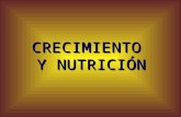20 - Crecimiento y Nutricion I