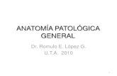 Anatomia a General