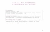 Manual Comandos Avanzados de Excel