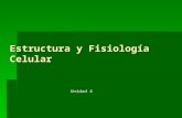 4.- Estructura y fisiología celular