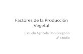 Factores de La Producción Vegetal