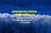 AMINOACIDOS - PROTEINAS - PEPTIDOS