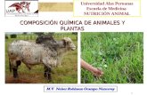 nutricion animal composicionquimica animales y plantas