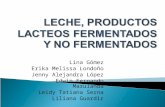 Leche y Productos Lacteos 2010-1