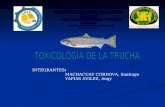 Toxicologia de La Trucha
