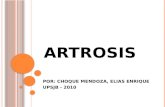 ARTROSIS 2010