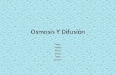 Osmosis Y Difusion