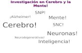 Investigacion en Cerebro