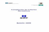 Compilación de Criterios Normativos, SAT