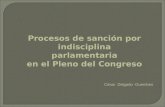 CDG - Disciplina y sanciones parlamentarias en el Congreso (PERU)