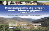 DENOMINACIÓN DE ORIGEN DE MAÍZ BLANCO GIGANTE