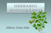 Herbario Fotogrfico