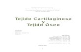 Monografía-Grupo2-Seccion2!Tejido Cartilaginoso y TejidoOseo!2003!