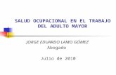 PRESENTACION Salud Ocupacional Adulto Mayor