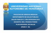 Plan Nacional de Salud / HONDURAS