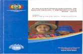Plan Estratégico Nacional de Salud Sexual y Reproductiva 2009 - 2015