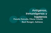 Antigenos Inmunogenos y Haptenos
