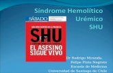 (NX)Sindrome Hemolitico Uremico