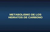 Metabolismo Carbono