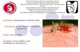 Presentacion paludismo-2010