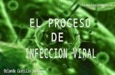 Proceso de Infeccion Viral