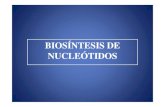 Clase Biosíntesis de nucleotidos - Oscar Sosa